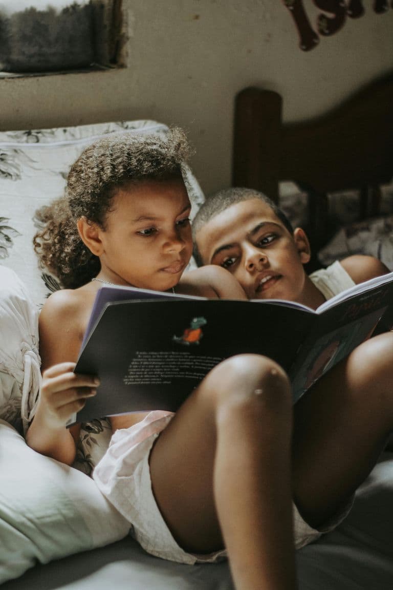 De inclusieve schoolbibliotheek